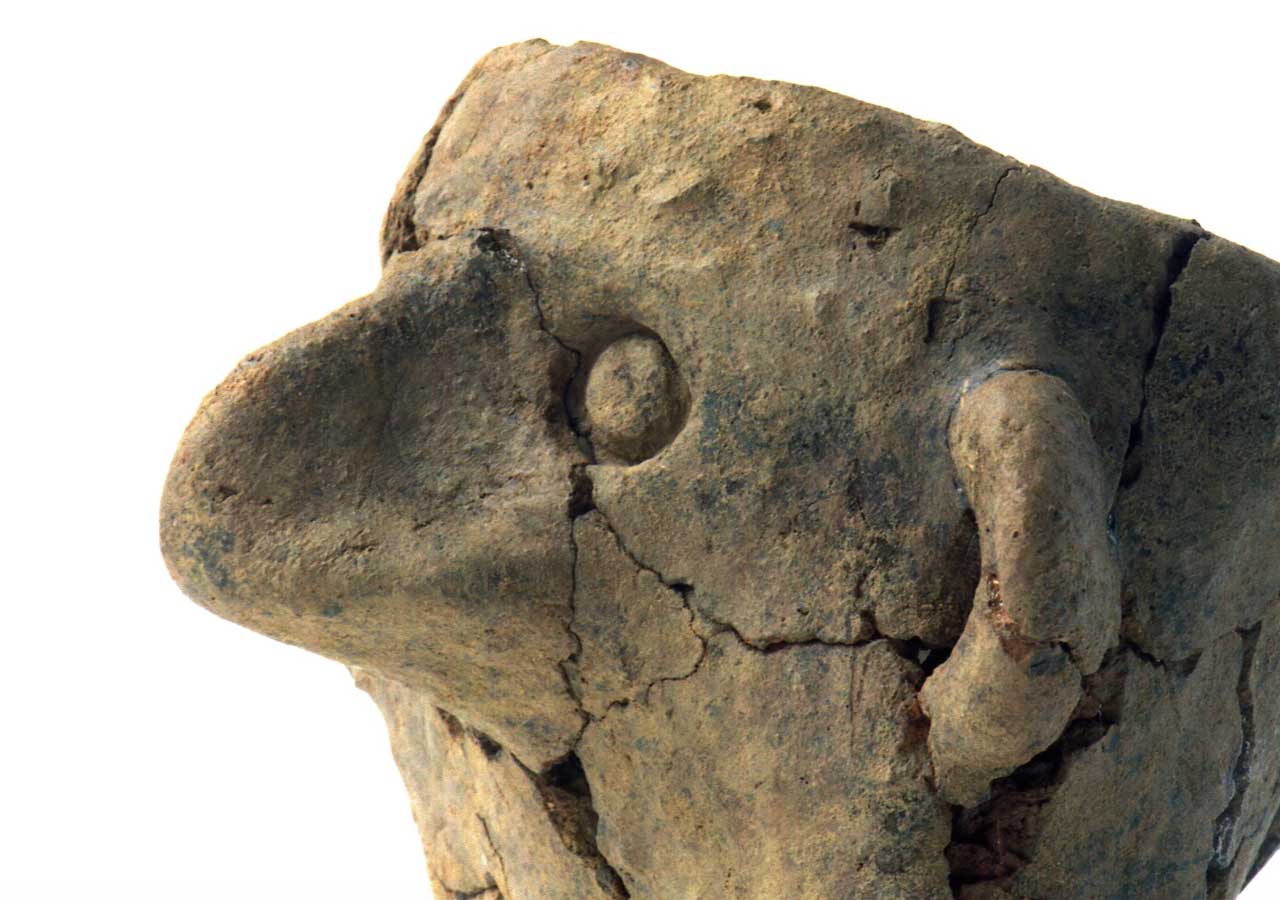 Image of A face from Irish prehistory Story Map